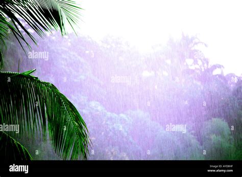 Cyclone Tropical Downpour In Réunion Stock Photo Alamy