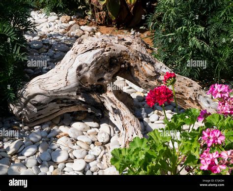 Driftwood Arrangement In A Garden Stock Photo Alamy