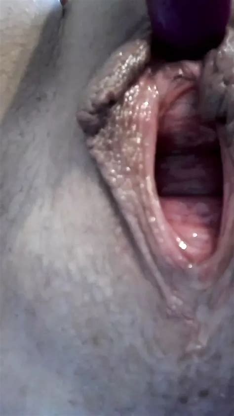 Dripping Mature Pussy Free Tube Pussy HD Porn E XHamster