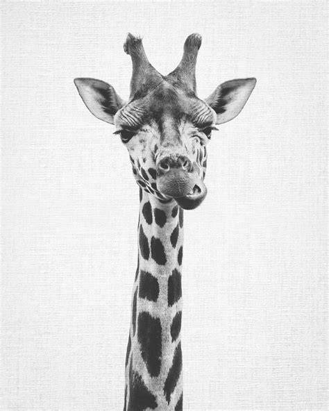 Giraffe Print Printable Art Nursery Print Black And White Nursery