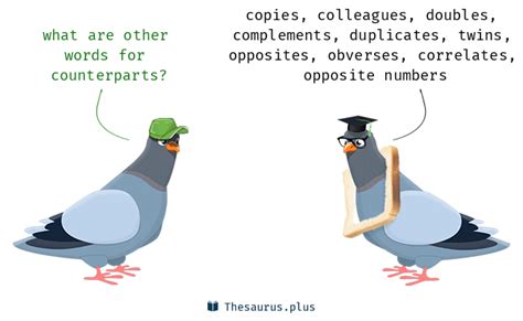 Counterparts Synonyms And Counterparts Antonyms Similar And Opposite
