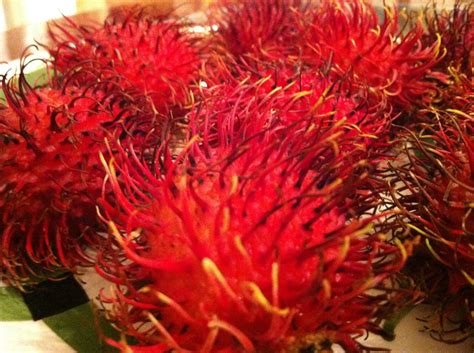 A Very Hairy Fruit Rambutan • Oh Snap Lets Eat
