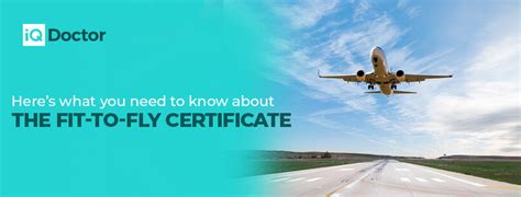 All You Need To Know About Fit To Fly Certificate Iq Doctor