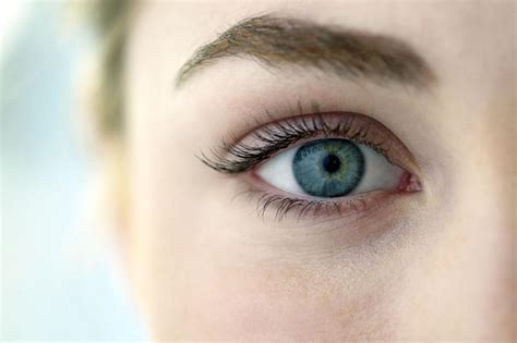 Cat Eye Syndrome Symptoms Causes Treatment