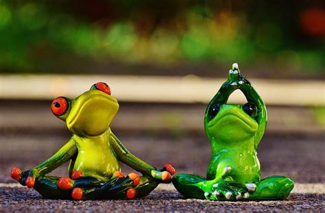 Frogs Figure Yoga · Free Photo On Pixabay