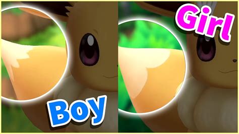 Eevee Finally Has A Gender Difference ⚬ New PokÉmon Lets Go Pikachu