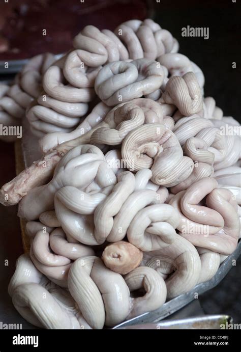 Sheep Intestine High Resolution Stock Photography And Images Alamy