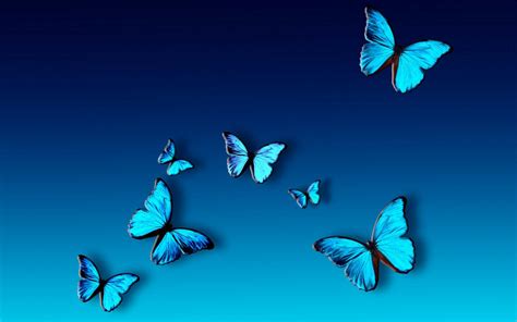 Free Download Collection Of Butterfly Background Wallpaper On Hdwallpapers 1280x800 1280x800