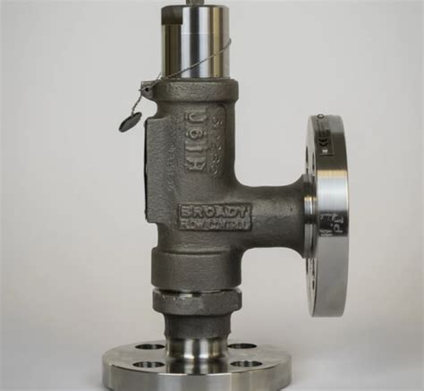 broady 2600 pressure safety valve uk and ireland esi technologies group