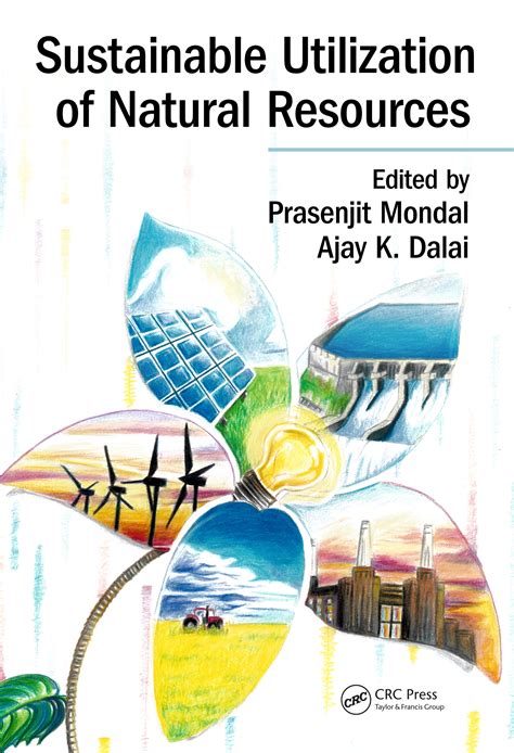 Sustainable Utilization Of Natural Resources 1st Edition Hardback