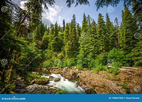 Sol Duc River River In Olympic National Park Stock Image Image Of