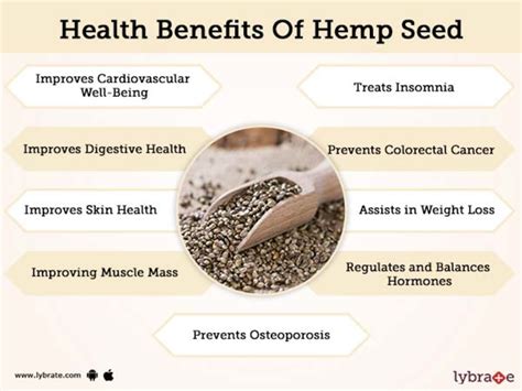 hemp seed nutrition facts per 100g home alqu