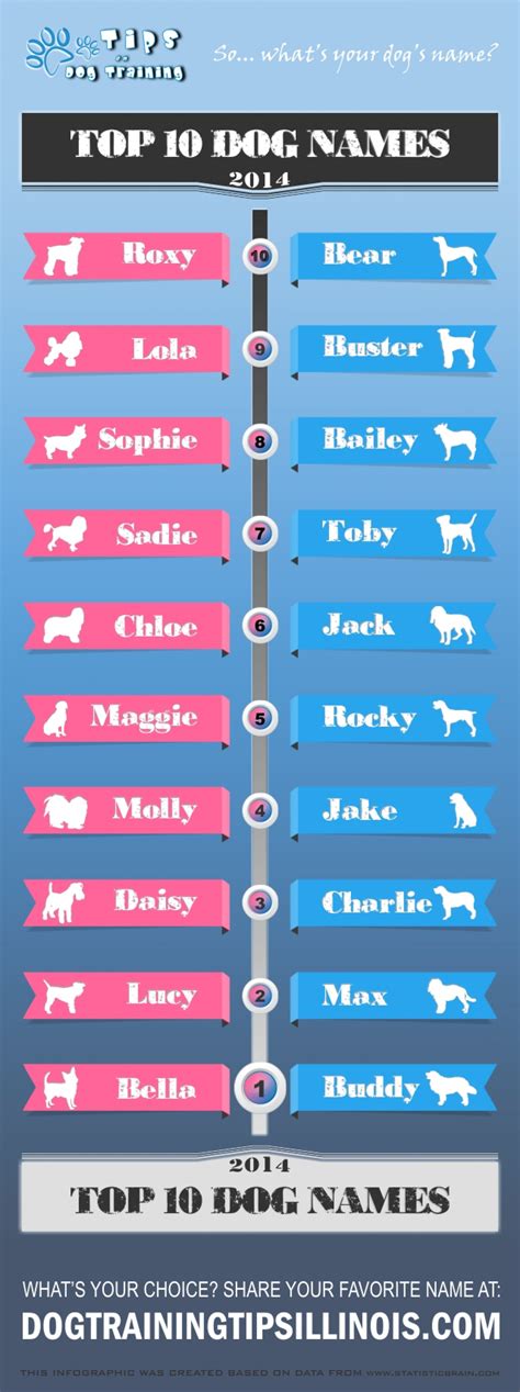 A tough but cute name for a large dog. Top Ten Dog Names for 2014 - Male and Female | Visual.ly