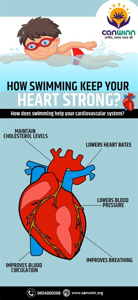 How Swimming Keep Your Heart Strong Canwinn
