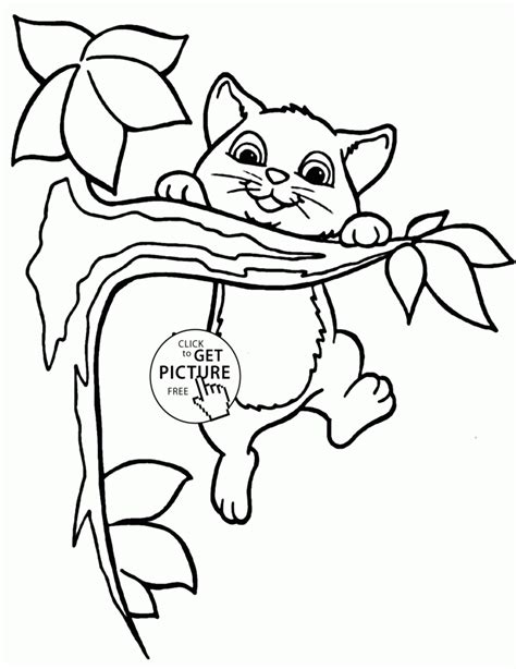cute cartoon animal coloring pages ymd