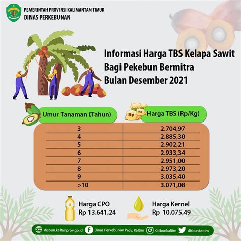 Informasi Harga TBS Kelapa Sawit Bagi Pekebun Bermitra Bulan Desember 2021