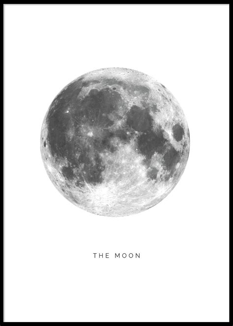 The Moon Poster 50x70 Cm 199 Kr Posters