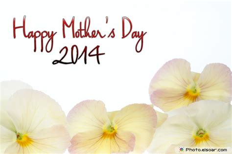 New Set Happy Mothers Day 2014 Greeting Cards And Images Elsoar