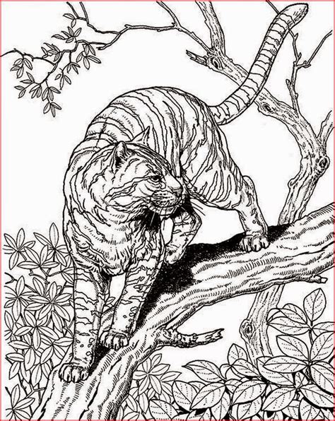 Coloring Pages Really Cool Free Printable Coloring Pages