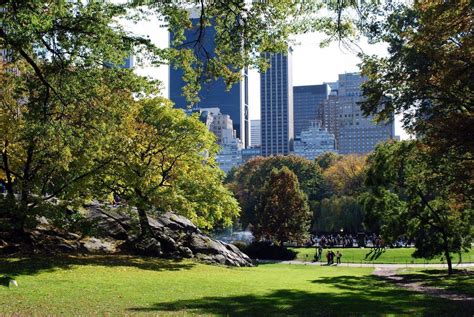 Central Park Backgrounds Wallpaper Cave