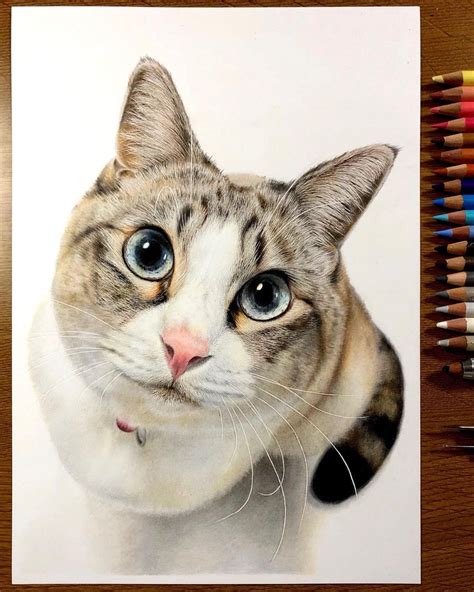 Feline Faces Get A Close Up In Amazing Hyperrealistic Drawings