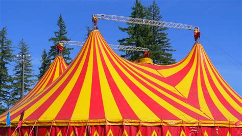 Carnival circus canopy stripe tent different styles happy party symbols vector cartoon collection. 4k Circus Tent Orange and : Video de stock (totalmente ...