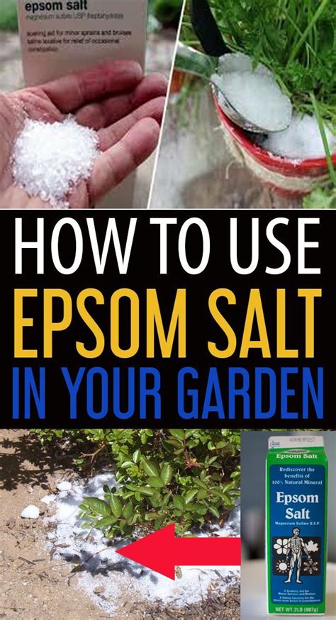 How To Use Epsom Salt In A Garden Artofit