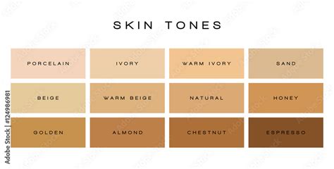 Skin Tones Color Palette Vector Stock Vector Adobe Stock