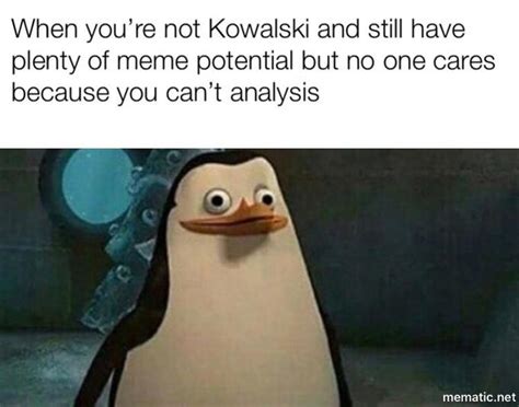 not kowalski confused private know your meme