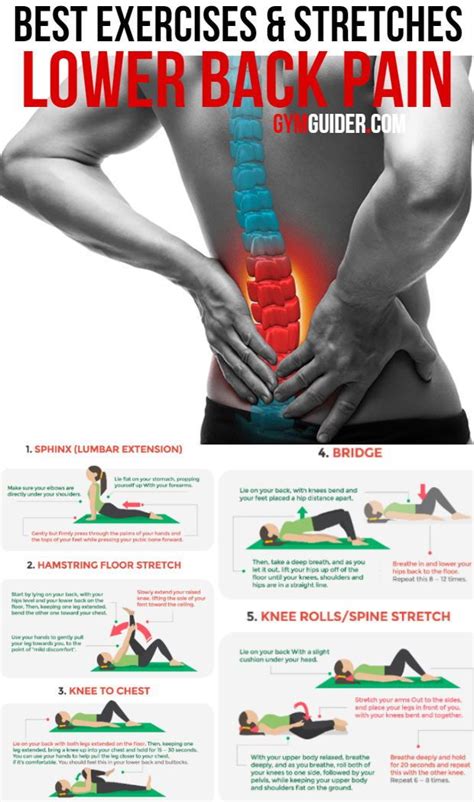 Movement Can Help Relieve Back Pain But Only The Right Kind Avoid
