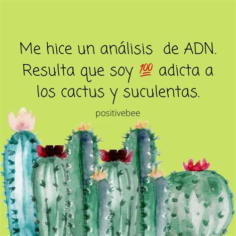 Pin De Yarilys Rivera En Positive Bee Frases De Cactus Cactus Y