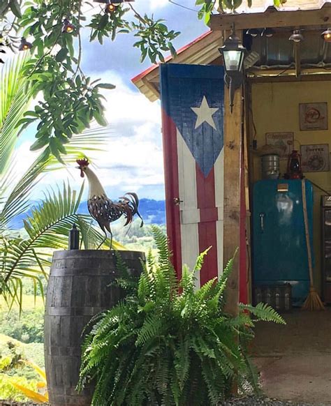 Puerto Rico 🇵🇷 On Instagram 🇵🇷 ¡buen Dia Puerto Rico 🙌🏻 Paladar