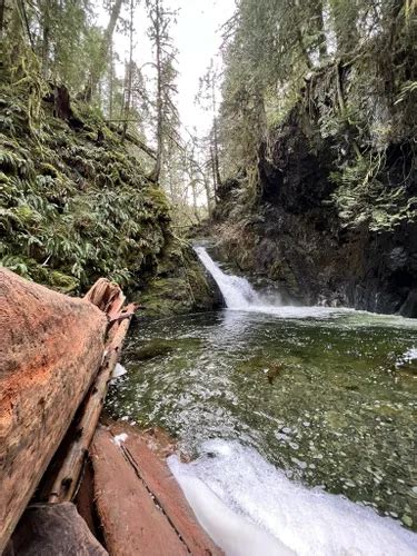 10 Best Hikes And Trails In Goldstream Provincial Park Alltrails