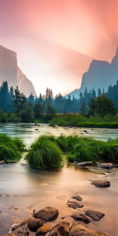 Sunrise Yosemite National Park Stream Mountains 1080x2160 Wallpaper
