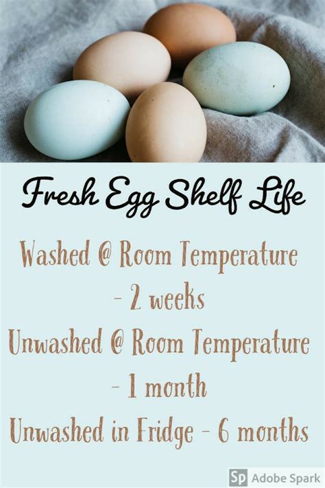 An easy way to warm your eggs is just to set them in a little bit of warm water before you start baking and that will get them to room temperature a little bit quicker, says samantha. Pin by Tiffany Foutch on Food in 2020 | Backyard chickens ...