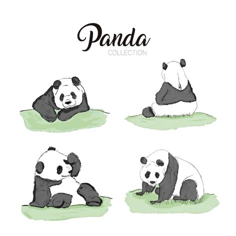 Premium Vector Set Of Pandas