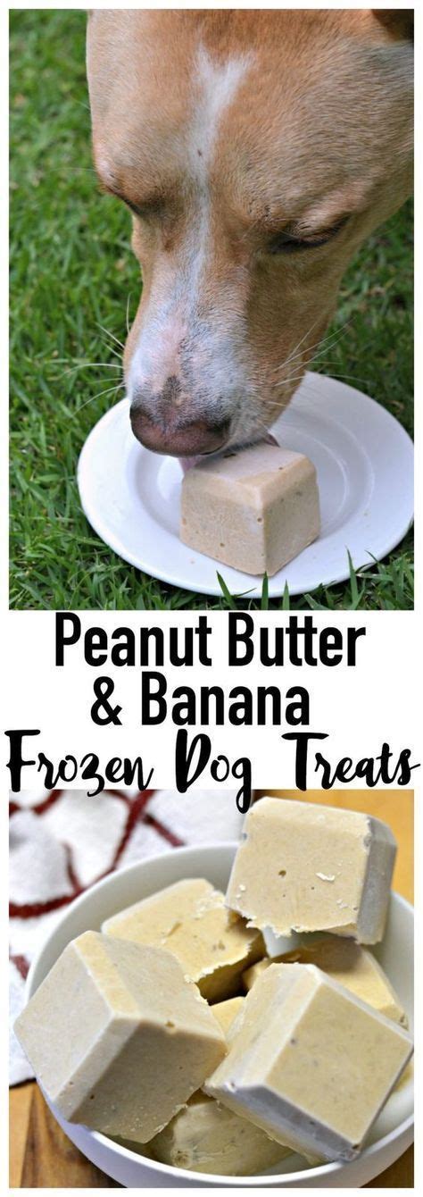 Peanut Butter Banana Frozen Dog Treat Frozen Dog Frozen Dog Treats