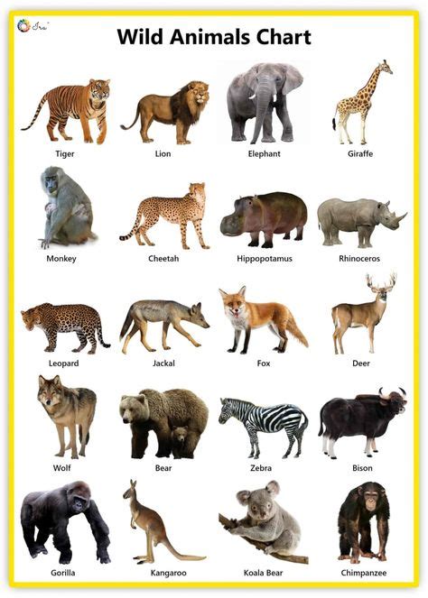 23 Best Zoo Animals Names List Ideas Animals Name List Animals Name