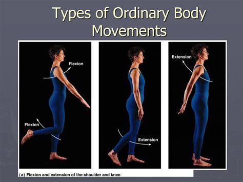 Ppt Body Movements Powerpoint Presentation Free Download Id2181259