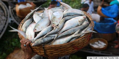 Fish Markets Of Kolkata