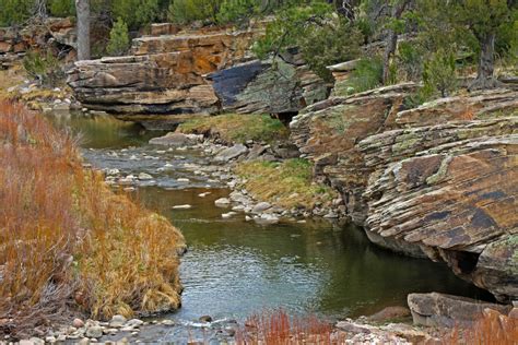 Free Images Water Rock River Stream Fauna Geology Outcrop