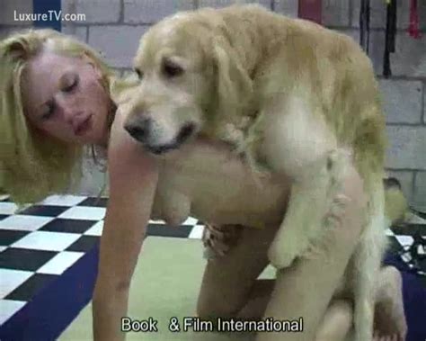 Two Legal Age Teenager Allies Receive Creampie From Their Golden Dog