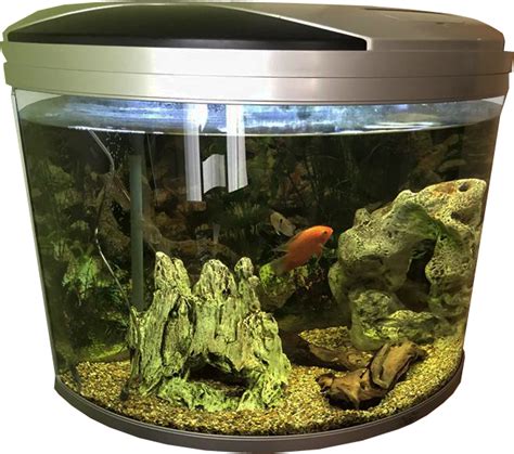 Fish Tank Aquarium Gallon Transparent Png Png Mart
