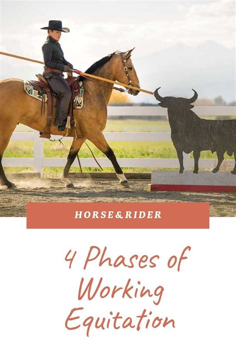 Introduction To Working Equitation Equitation Horses Work Horses