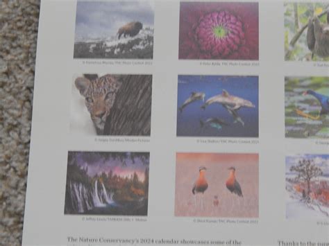 2024 The Nature Conservancy Wildlife 16 Month Wall Desk Calendar New Ebay
