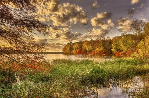 Autumn Creek Sunlight Photograph By Cheryl Davis Fine Art America