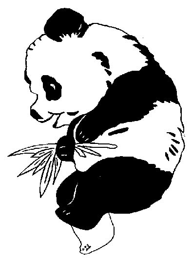 Urs Panda Planse De Colorat Si Educative
