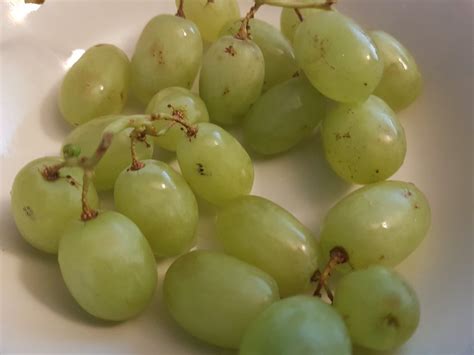 Some oral care, such as the installation of dental appliances that can injure the tongue also can trigger the appearance of black spots on the tongue. What is with the brown/black spots on these grapes i ...