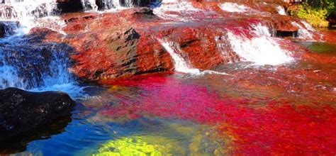 The Rainbow River Of Colombia The Rive Of Five Colors Colombia