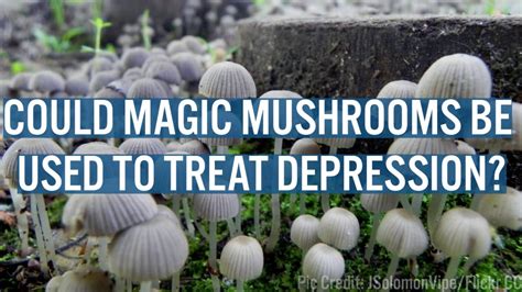 Psychedelic Mushrooms for Depression - Spirit Molecule